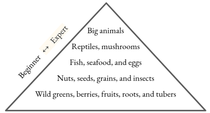 Food Pyramid